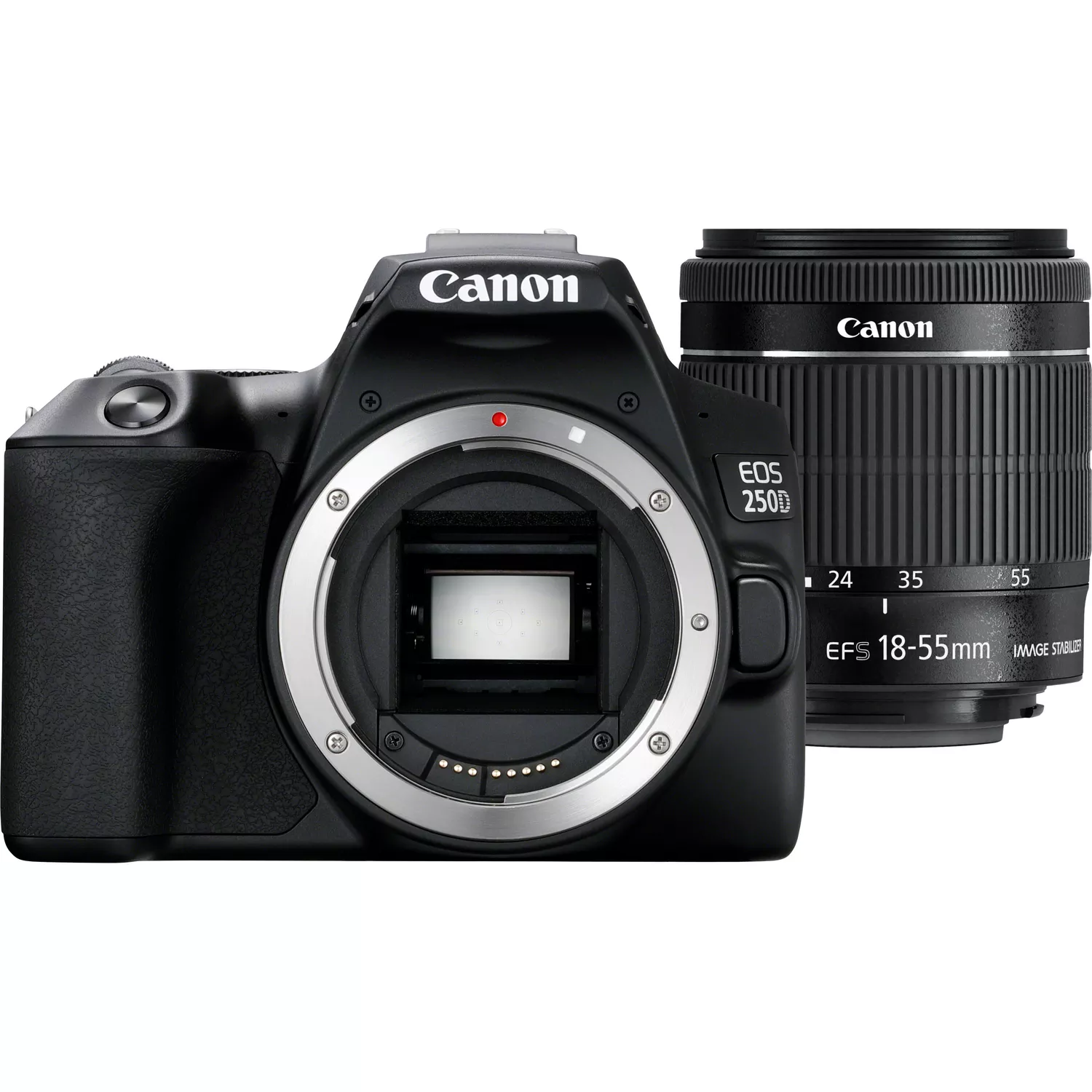 Canon EOS 250D DSLR Camera with 18-55mm f/4-5.6 IS STM Lens - Image 2